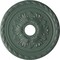 Ekena Millwork Palmetto Ceiling Medallion (Fits Canopies up to 5"), 20 7/8"OD x 3 5/8"ID x 1 5/8"P, Cloud Burst CM20PMCBF - alternate 1